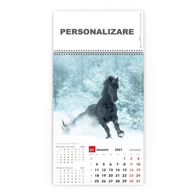 Calendar de perete cu imagini CAI